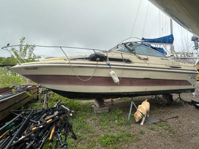 Used-Sea-Ray-2