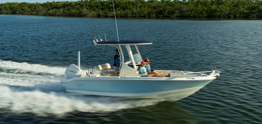 2025 Boston Whaler Dauntless 220 Dauntless